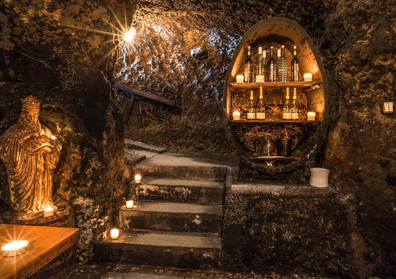 Penzion Tokaj Macik Winery B&B Mala Trna Eksteriør billede